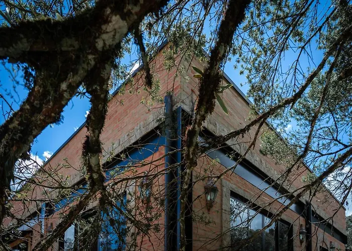 LA PIANTA - Uma experiência na Villa de Monte Verde